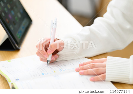 High school girl studying High school girl studying 114677154