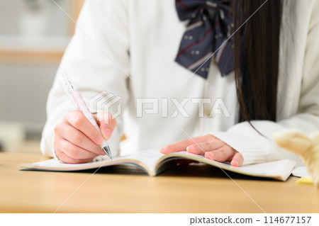 High school girl studying High school girl studying 114677157