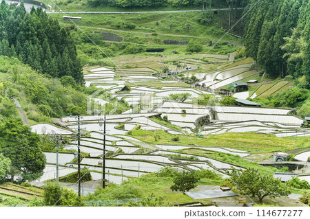 插秧後的四谷千枚田（愛知縣新城） 114677277