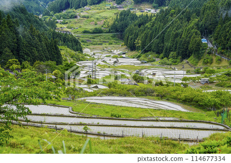 插秧後的四谷千枚田（愛知縣新城） 114677334