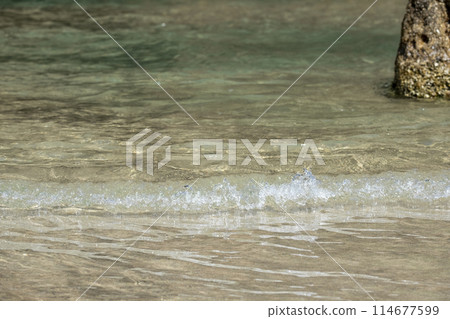Iwami Blue Uradome Coast (near Higashihama Beach) 114677599