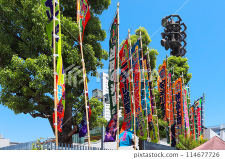 Fresh green season and sumo flags Fresh green season and sumo flags 114677726