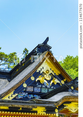 Spring in the National Treasure Osaki Hachimangu Shrine, Sendai City 114677970