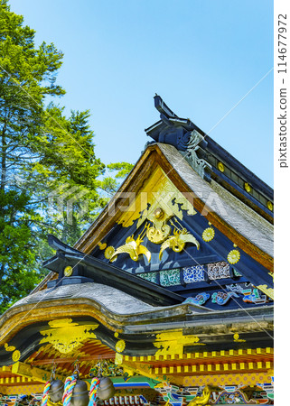 Spring in the National Treasure Osaki Hachimangu Shrine, Sendai City 114677972