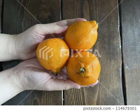 Dekopon, Shiranui: Sweet citrus fruits 114678301