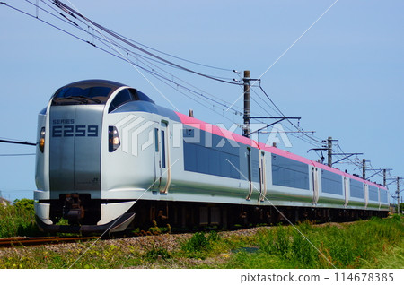 總武本線運行的E259系列特急潮騷 114678385