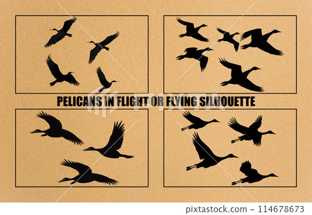 Pelicans Flying Silhouettes, flock of birds flying silhouetted.Pelicans Flying vector 114678673
