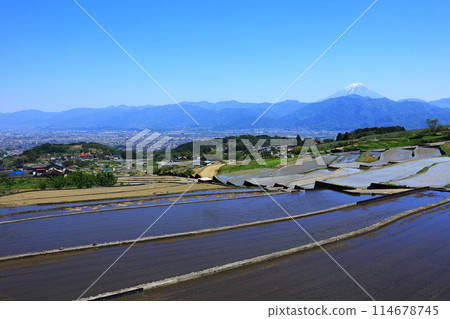 從中野的梯田看到的富士山 從中野的梯田看到的富士山 114678745