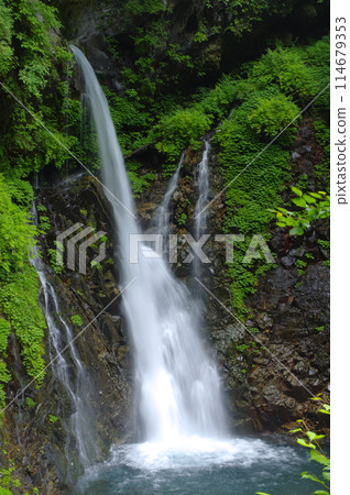 Nikko Buchanon Falls Nikko Buchanon Falls 114679353