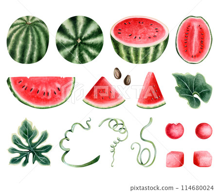 Fresh red and green watermelon set with berry, slices, seeds, leaves and ice cream scoops. Hand drawn fruit watercolor illustration collection isolated on white for organic food and juices designs Fresh red and green watermelon set with berry, slices, seeds, leaves and ice cream scoops. Hand drawn fruit watercolor illustration collection isolated on white for organic food and juices designs 114680024