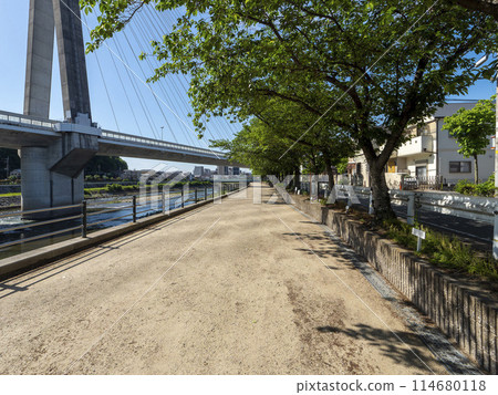 流經川西市的豬名川沿岸的散步道和櫻花樹 流經川西市的豬名川沿岸的散步道和櫻花樹 114680118