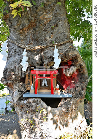 中山道桶川宿散步:桶川稻荷神社、桶川市壽 中山道桶川宿散步:桶川稻荷神社、桶川市壽 114680260