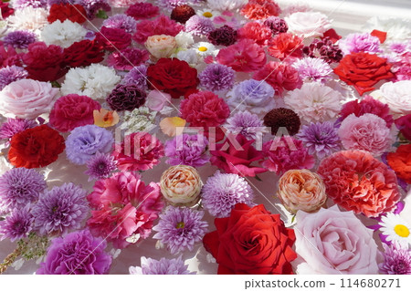 Flowers floating in water 1 114680271