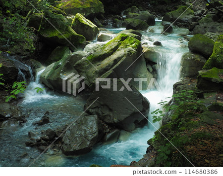 Summer Sugangawa 114680386