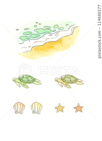 海灘、海龜和貝殼的模擬透明水彩插圖集 114680577