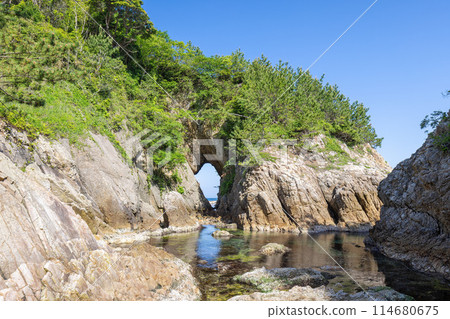 浦安海岸 114680675