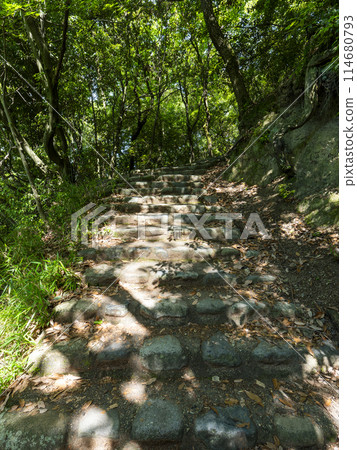 綠意盎然的五月山山路 綠意盎然的五月山山路 114680793