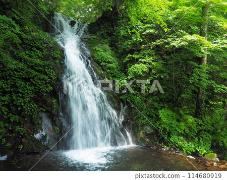 Shirataki waterfalls on the Niseo Momiji Line Shirataki waterfalls on the Niseo Momiji Line 114680919