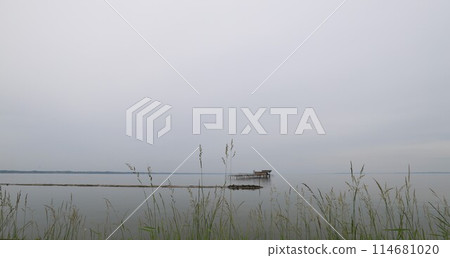 敦賀霞浦R林路的風景 114681020