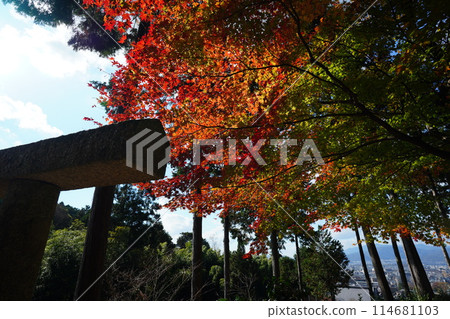 Autumn leaves and temples Autumn leaves and temples 114681103