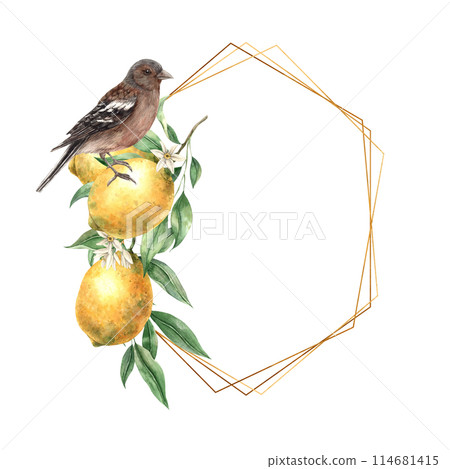 Yellow lemon with green leaves and flowers, brown realistic bird. Isolated watercolor hexagonal frame in vintage style with gold. Hand drawn for cards, wedding design, invitations, packaging Yellow lemon with green leaves and flowers, brown realistic bird. Isolated watercolor hexagonal frame in vintage style with gold. Hand drawn for cards, wedding design, invitations, packaging 114681415