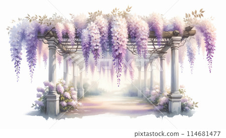 Watercolor style wisteria flower shelf Watercolor style wisteria flower shelf 114681477