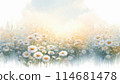 Watercolor chamomile meadow Watercolor chamomile meadow 114681478