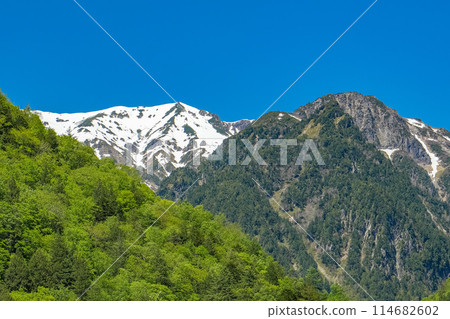 Northern Alps: Mount Nuketo 114682602