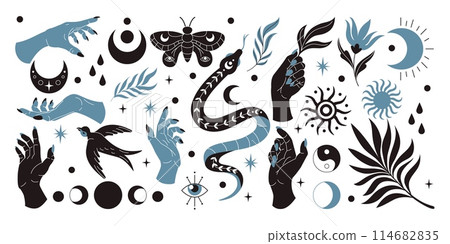 Snake mystic boho set. Sun, bird and eye black silhouette. Esoteric moon, tarot cover design, female hand, bohemian element graphic flower, floral feather, moth. Vector sticker occult tidy celestial Snake mystic boho set. Sun, bird and eye black silhouette. Esoteric moon, tarot cover design, female hand, bohemian element graphic flower, floral feather, moth. Vector sticker occult tidy celestial 114682835