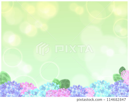 Background material: Watercolor hydrangea frame 114682847