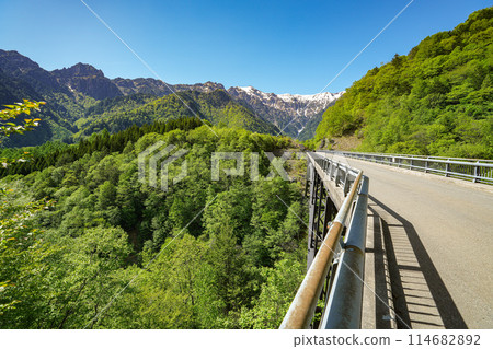 阿爾卑斯大橋 114682892