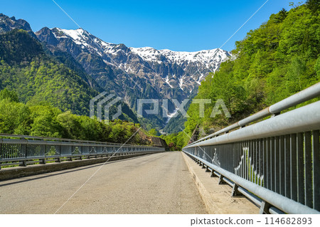 Alps Bridge 114682893