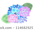 Icon material: Watercolor hydrangea 114682925