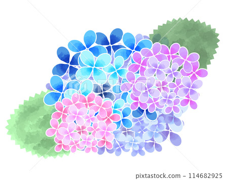 Icon material: Watercolor hydrangea 114682925