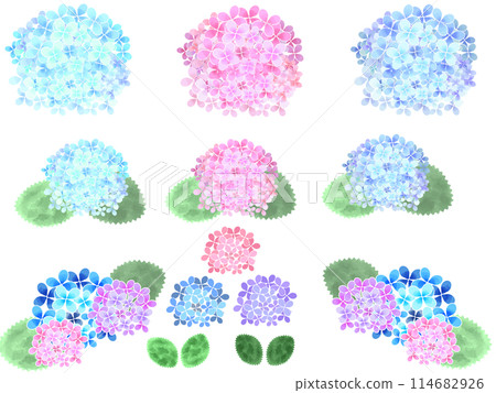 圖標材質：水彩觸感繡球花 114682926