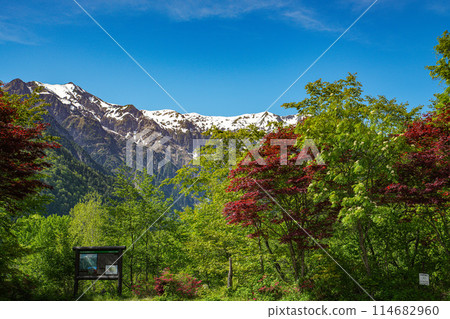 北阿爾卑斯山、笠岳、貫戶山 114682960