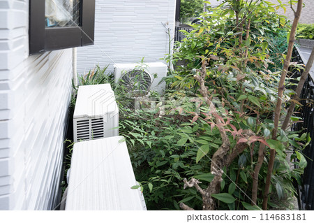 Uncontrollable weeds Uncontrollable weeds 114683181