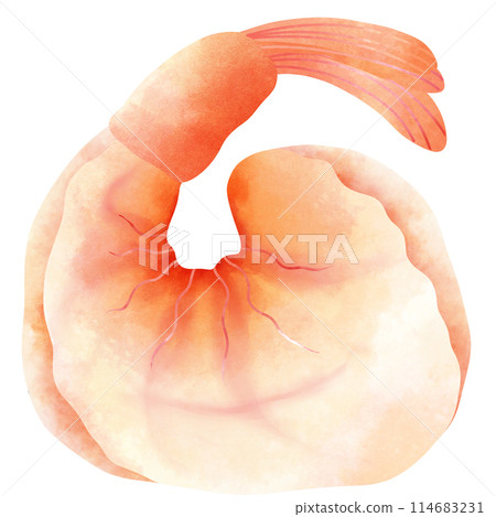 Grilled shrimp are excellent right off the grill 114683231