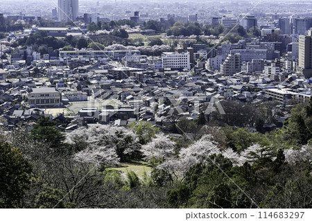 櫻花盛開的金澤城市景觀 114683297