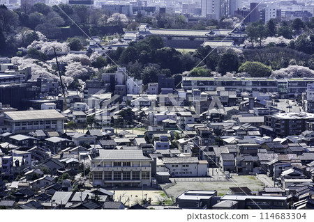 櫻花盛開的金澤城市景觀 114683304