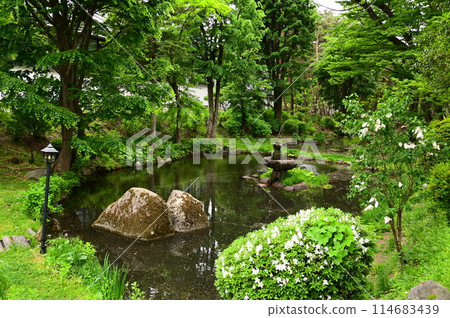 Morioka Castle Ruins Park in early summer 114683439