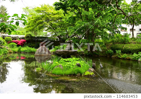初夏的盛岡城址公園 初夏的盛岡城址公園 114683453