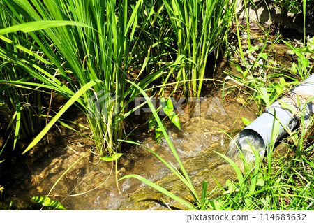 小豆島中山千枚田（電影、電視劇的拍攝地） 114683632