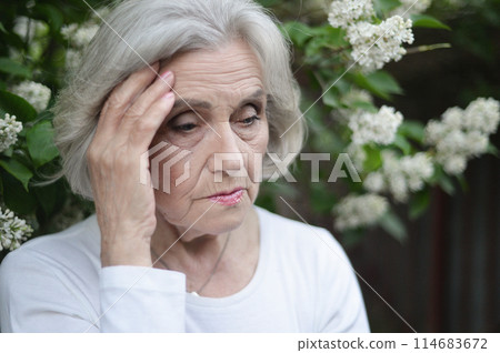 Portrait of senior sad woman in park Portrait of senior sad woman in park 114683672