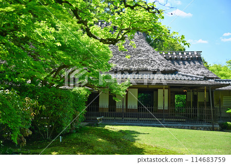 初夏的吉祥園 114683759