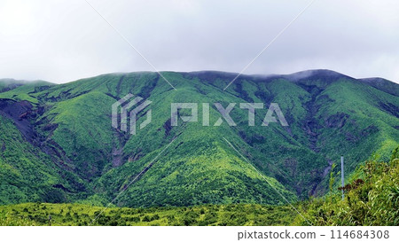 東京伊豆群島三宅島山 東京伊豆群島三宅島山 114684308