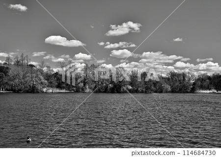 Scenery of Mizumoto Park in early spring Monochrome Scenery of Mizumoto Park in early spring Monochrome 114684730