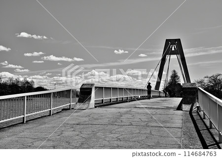 早春水元公園風景單色攝影 早春水元公園風景單色攝影 114684763