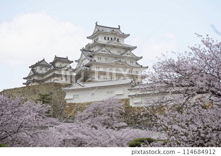 世界遺產姬路城在春日蔚藍的天空下熠熠生輝 世界遺產姬路城在春日蔚藍的天空下熠熠生輝 114684912