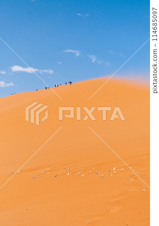 Sossusvlei in a sandstorm 114685097